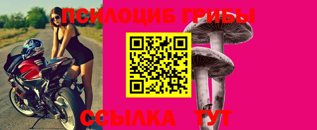 Янаул  Псилоцибиновые грибы GOLDEN TEACHER  Вход с VPN 